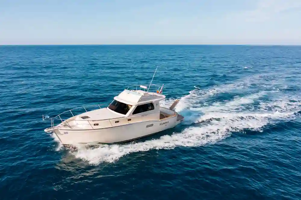 Patrone Moreno P36 Fly