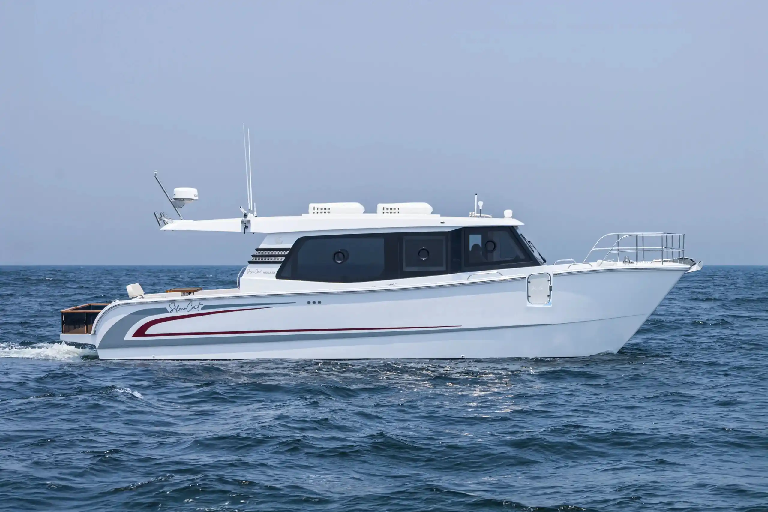 SilverCat 40LUX