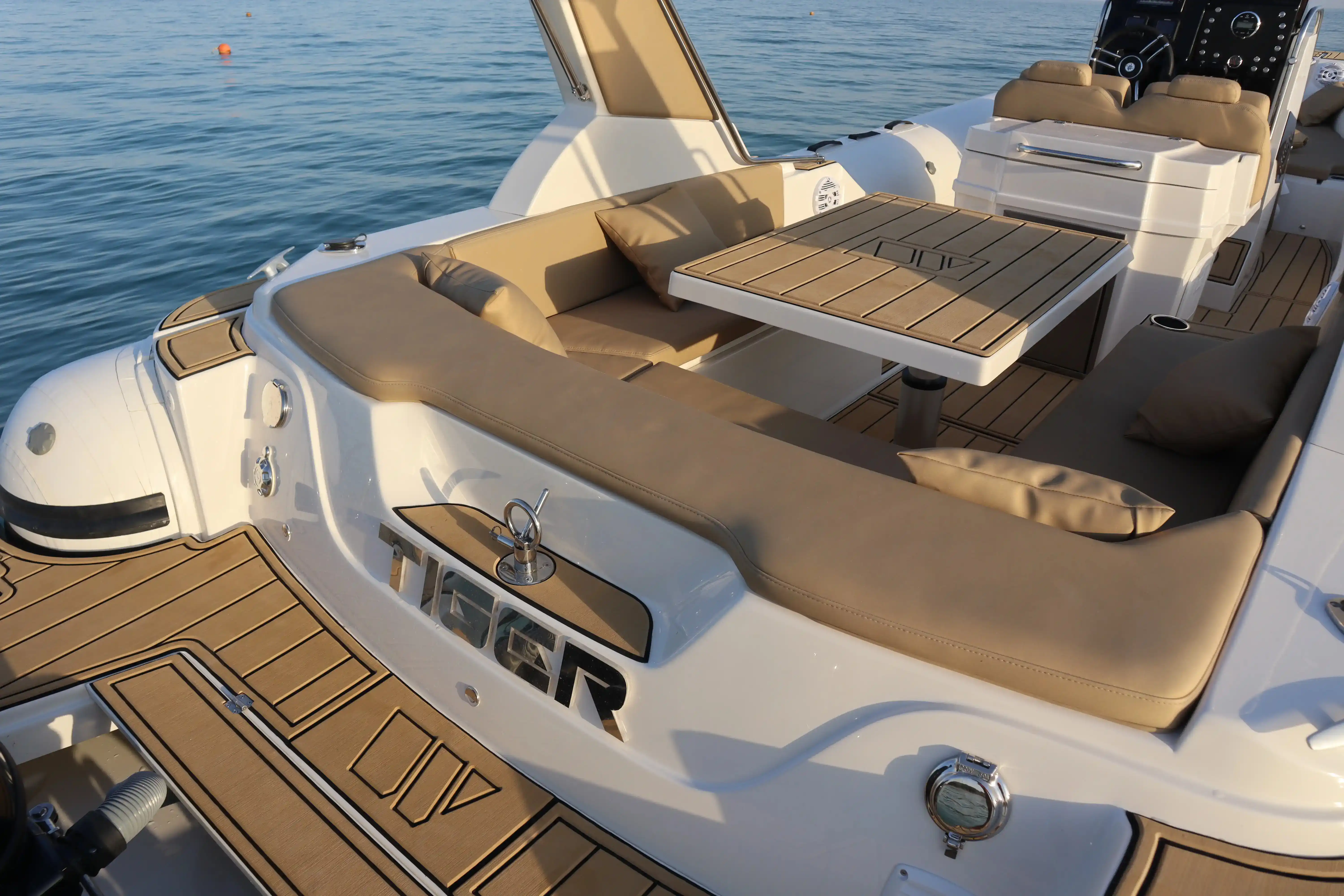 Tiger Marine TopLine 950 Interior