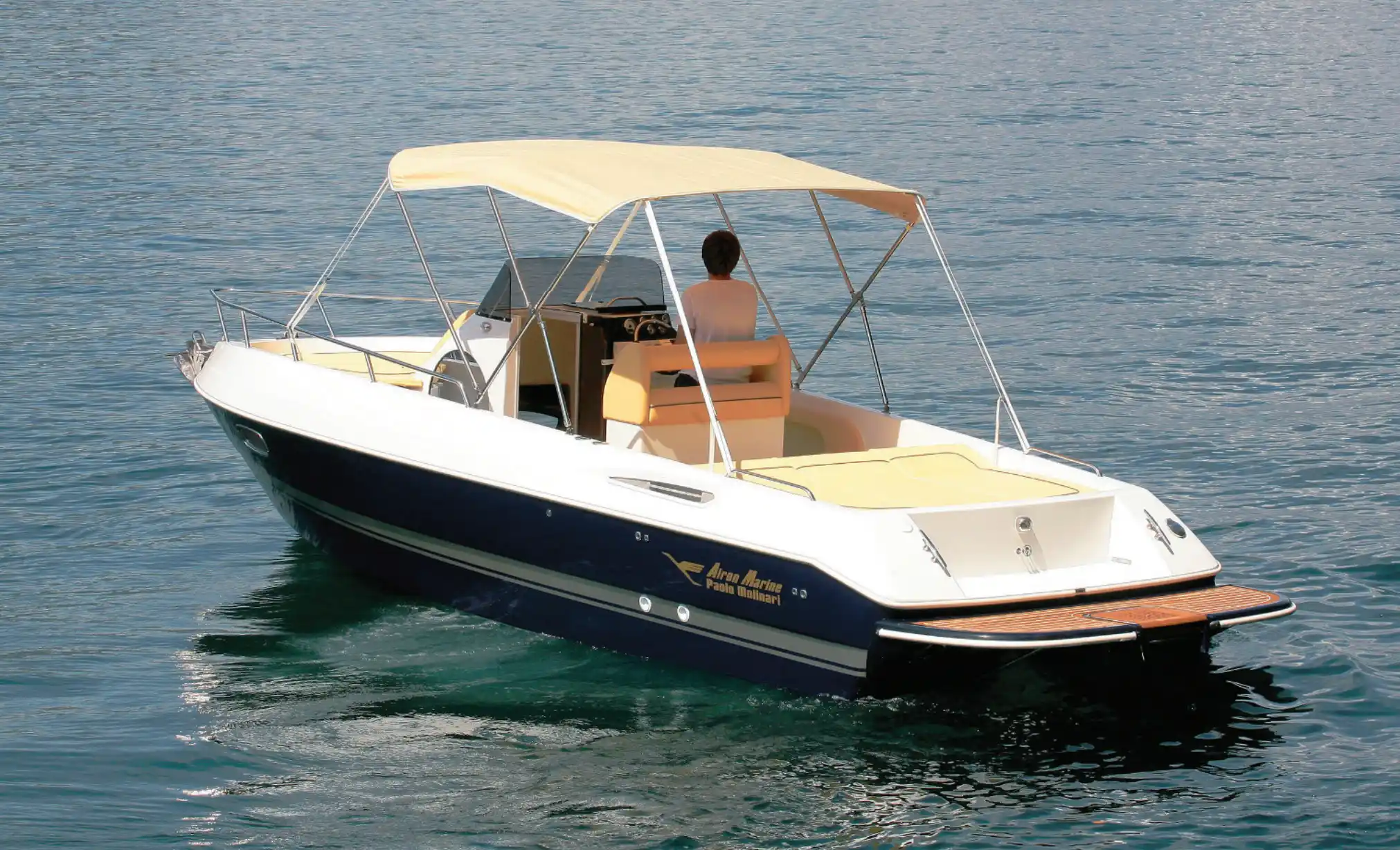 Airon Master Fish 279