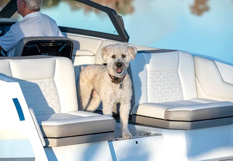 Interior del Vision Marine SPECTR 26