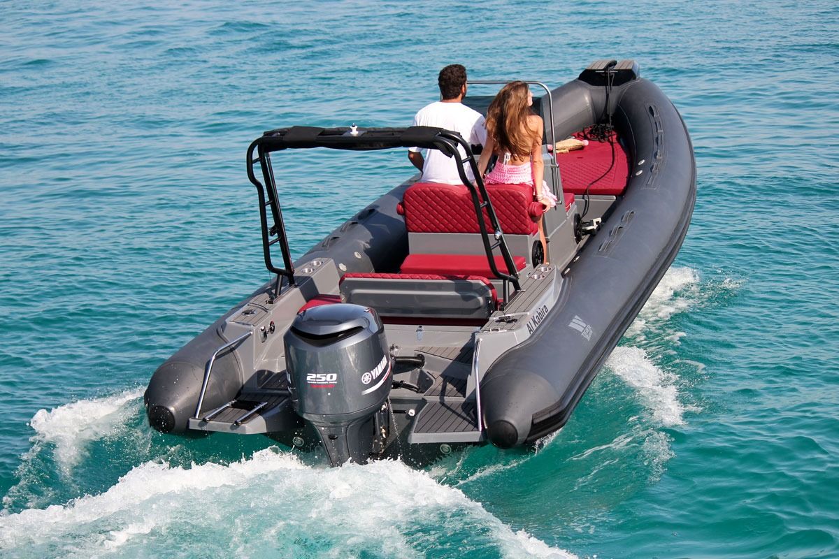 Esterni del Tiger Marine ProLine 740
