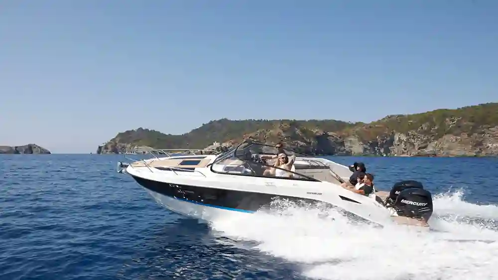 Quicksilver Activ 805 Cruiser