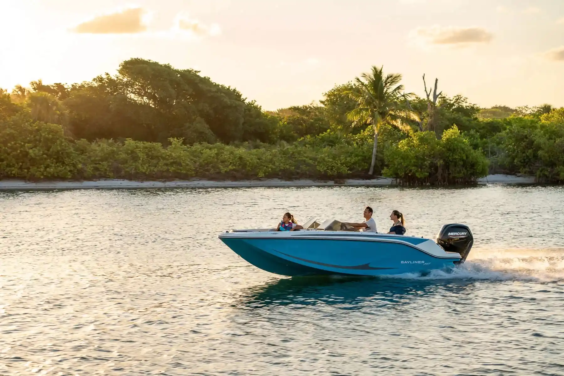Bayliner M17