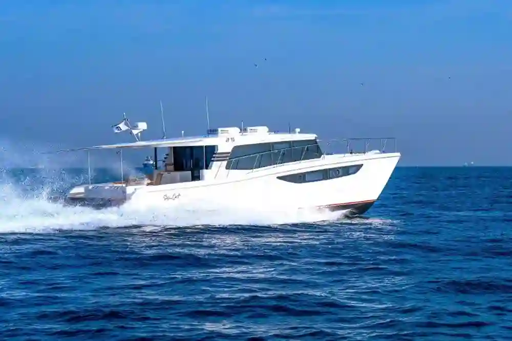 SilverCat 46LUX