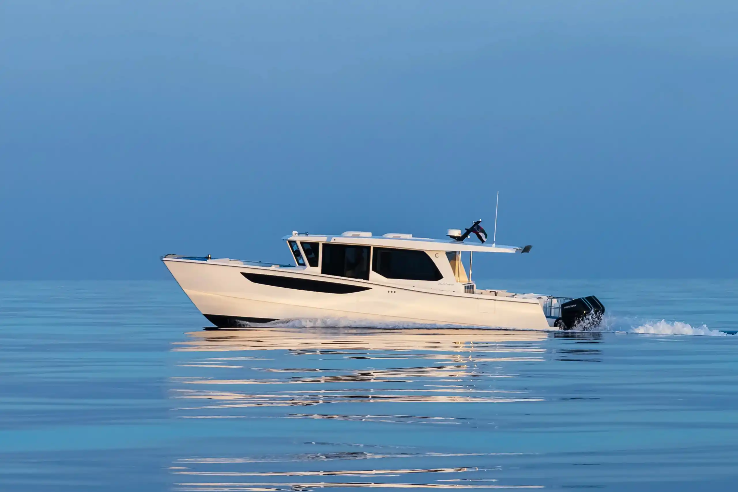 SilverCat 46CX
