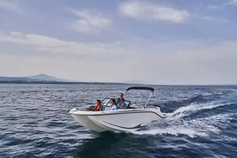 Bayliner M19