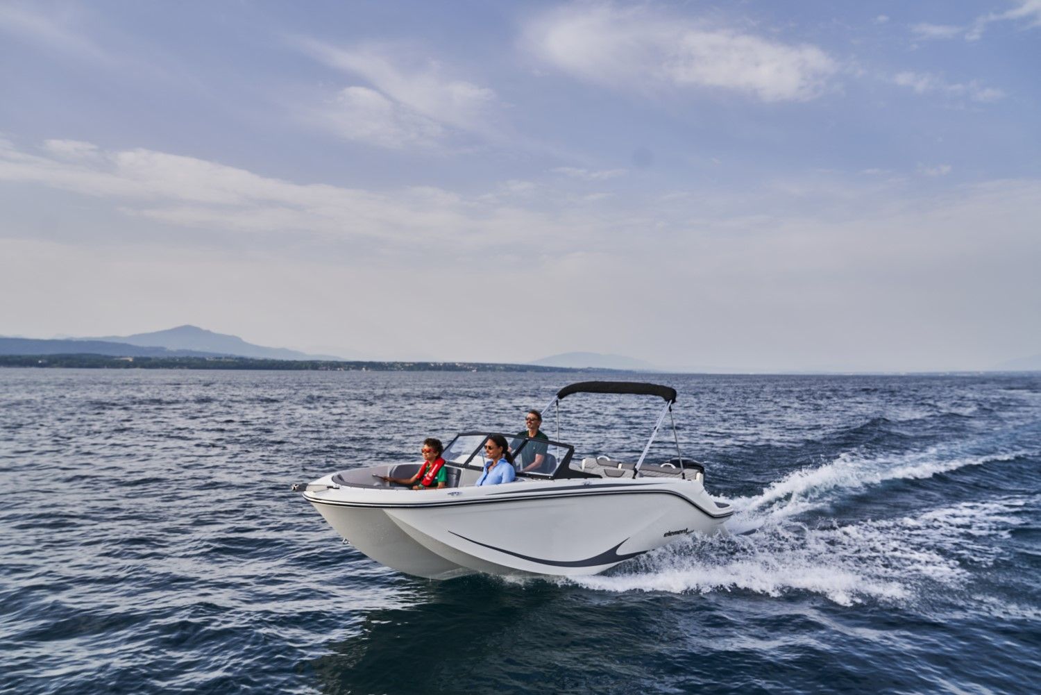Bayliner M19