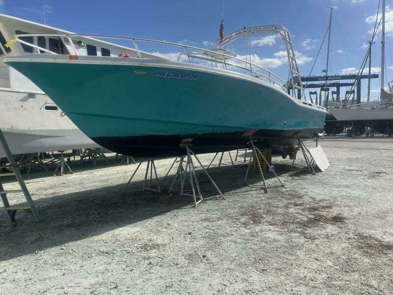 CWS Ocean Pro 35 Exterior