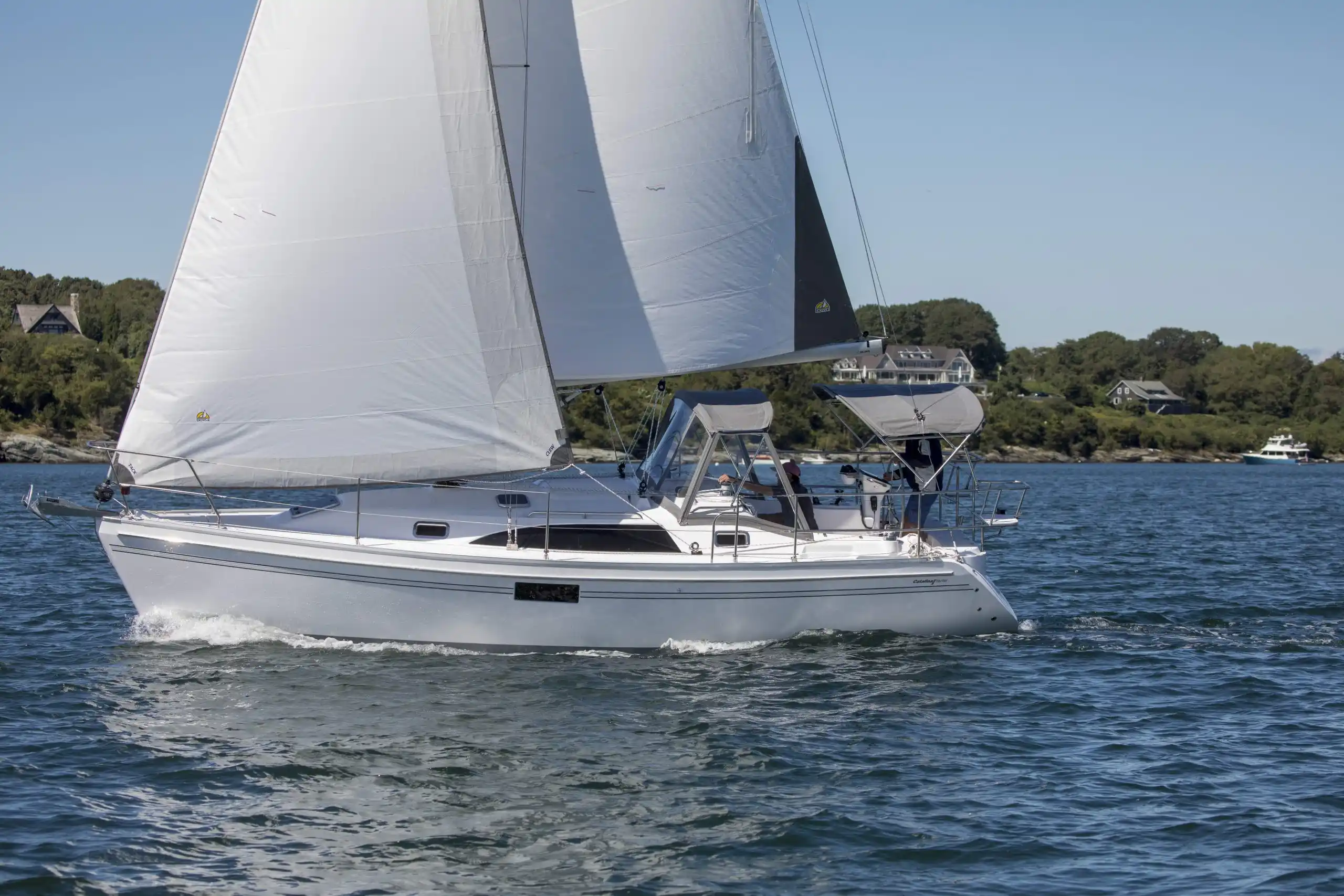 Catalina Yachts 316
