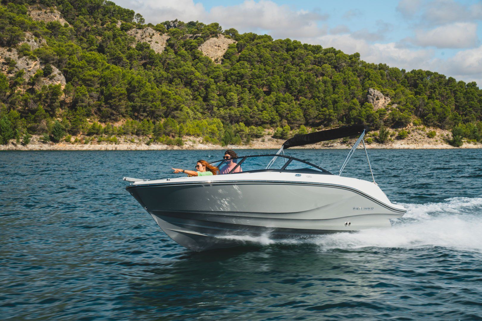 Bayliner V20i