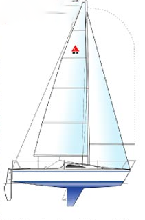 Layout 1