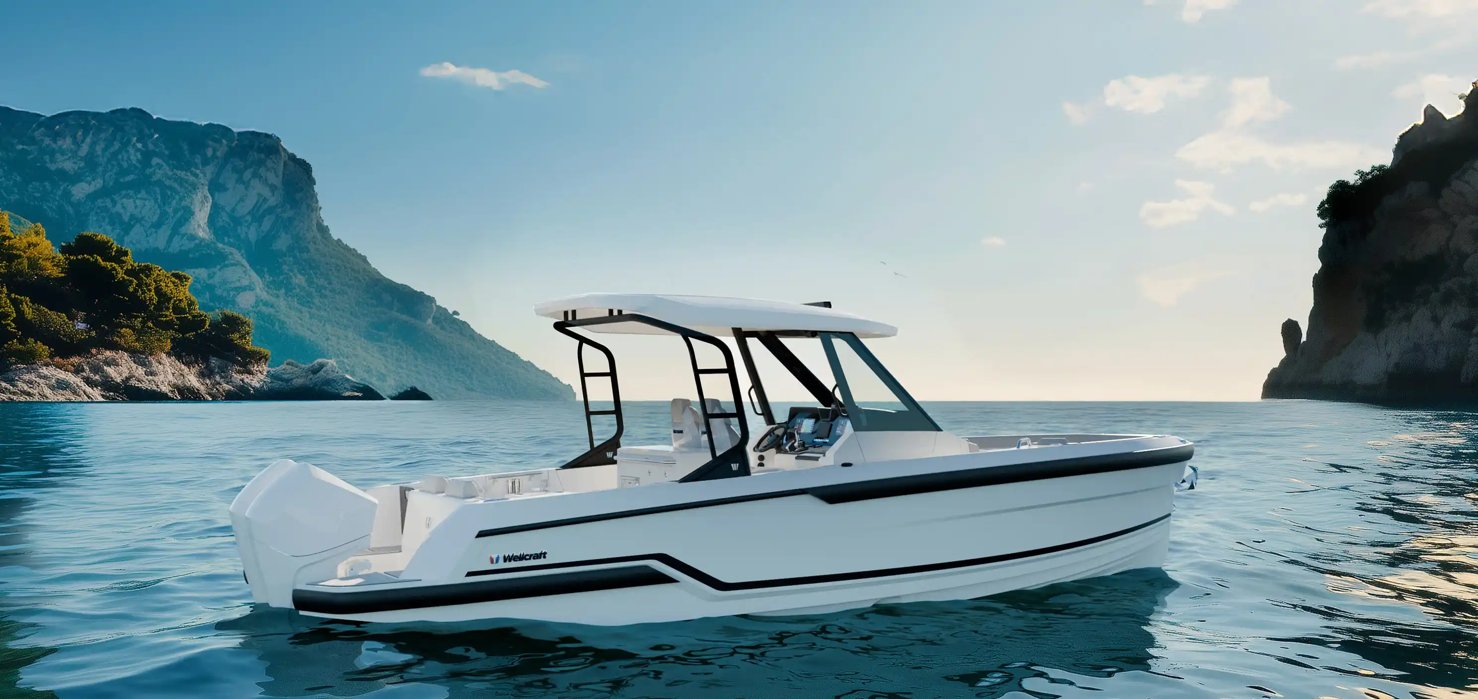 Wellcraft 28 T-Top
