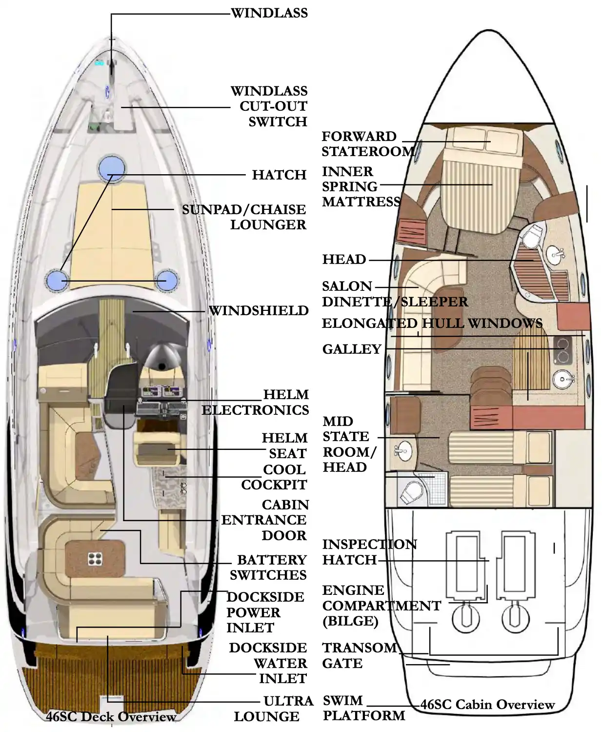 Layout 1