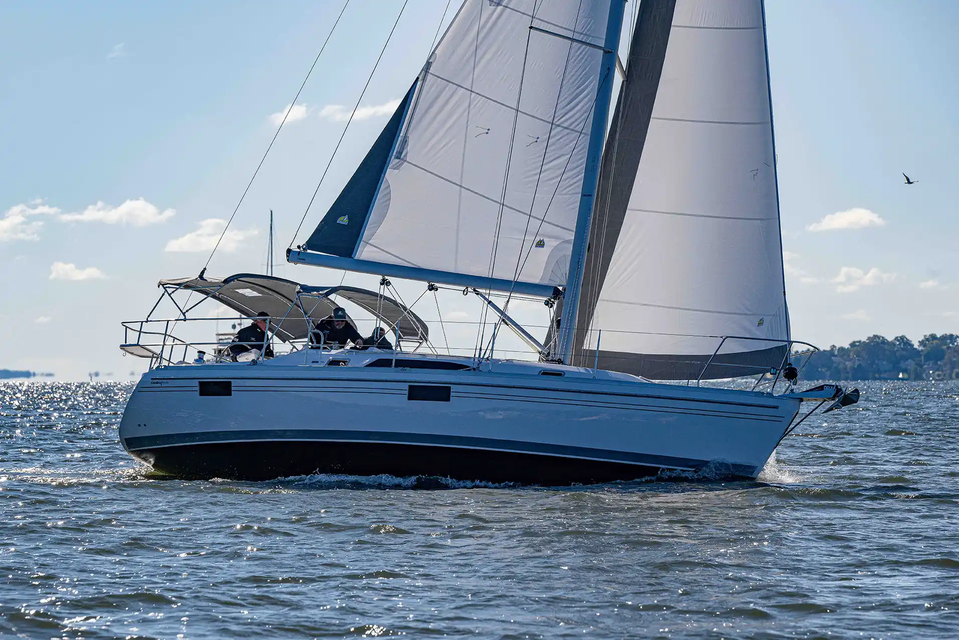 Catalina Yachts 356