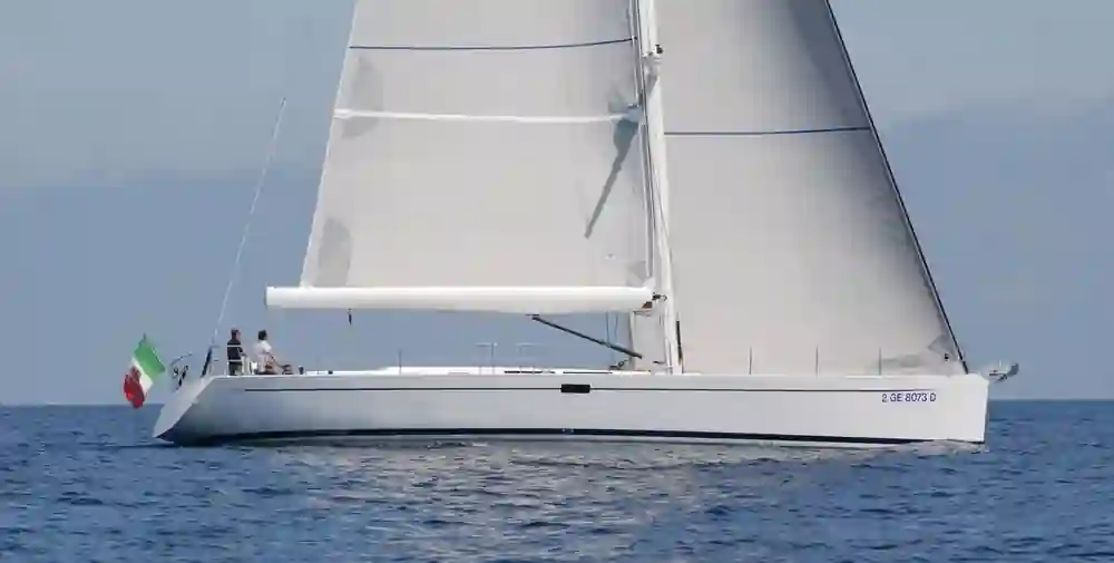 Felci 71