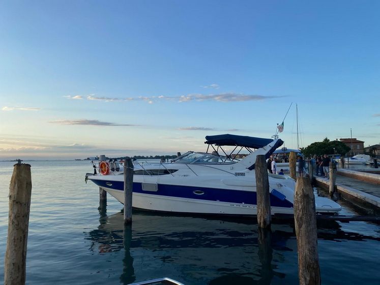 Bayliner 305