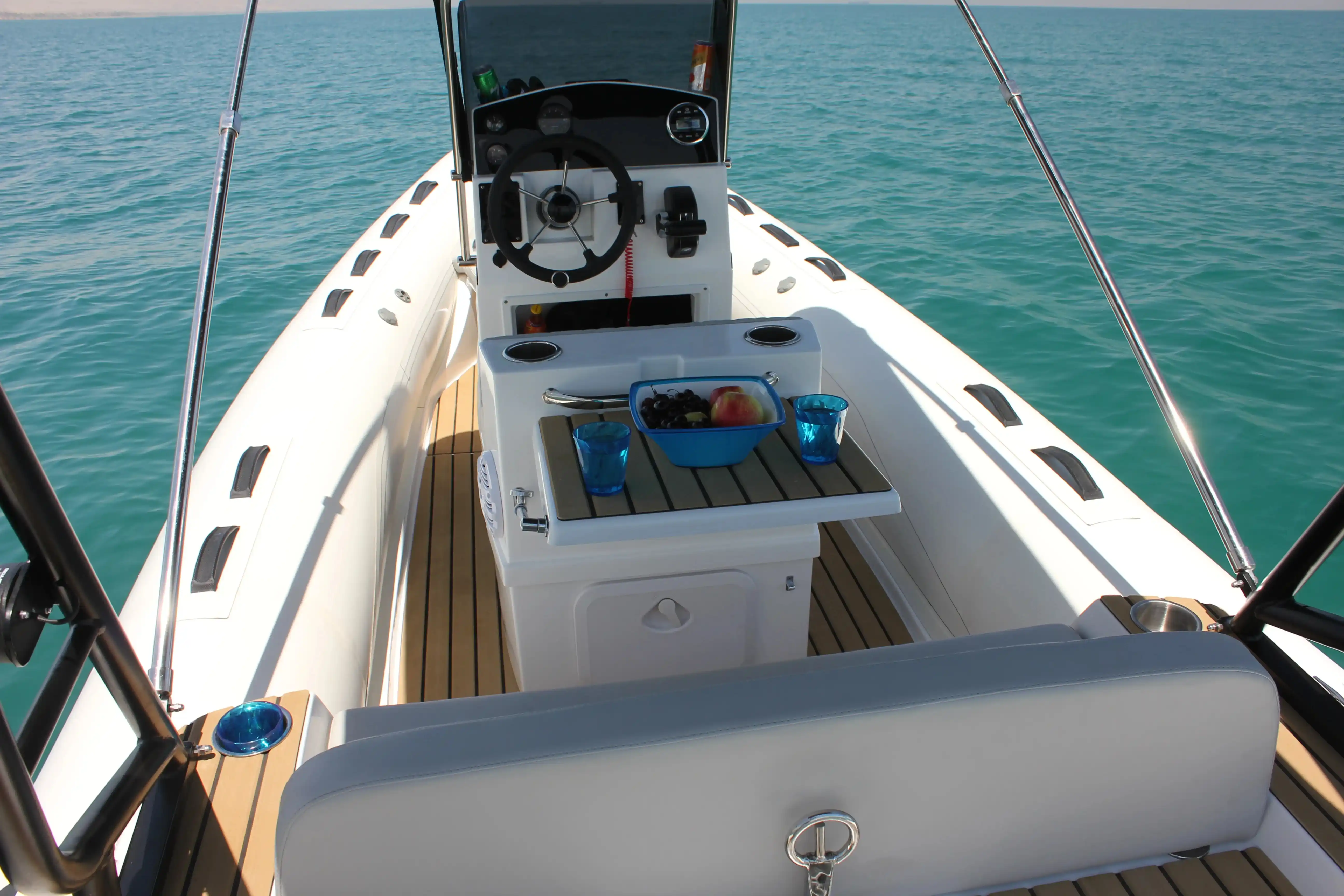 Interieur van de Tiger Marine ProLine 550
