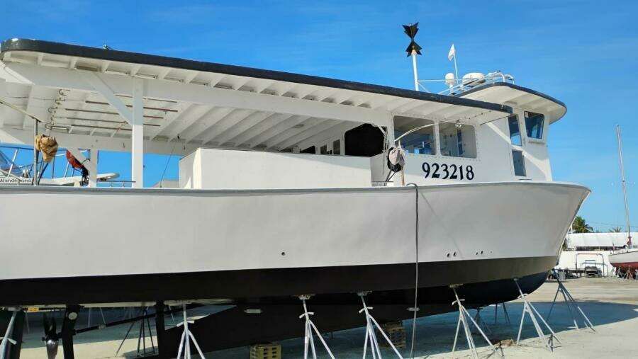 Layout 1
