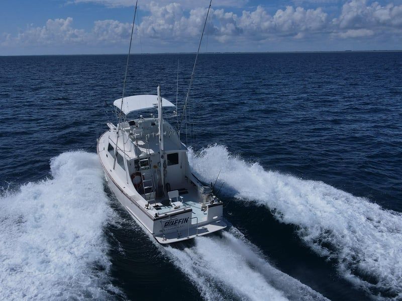 Exterior del Wilbur 38