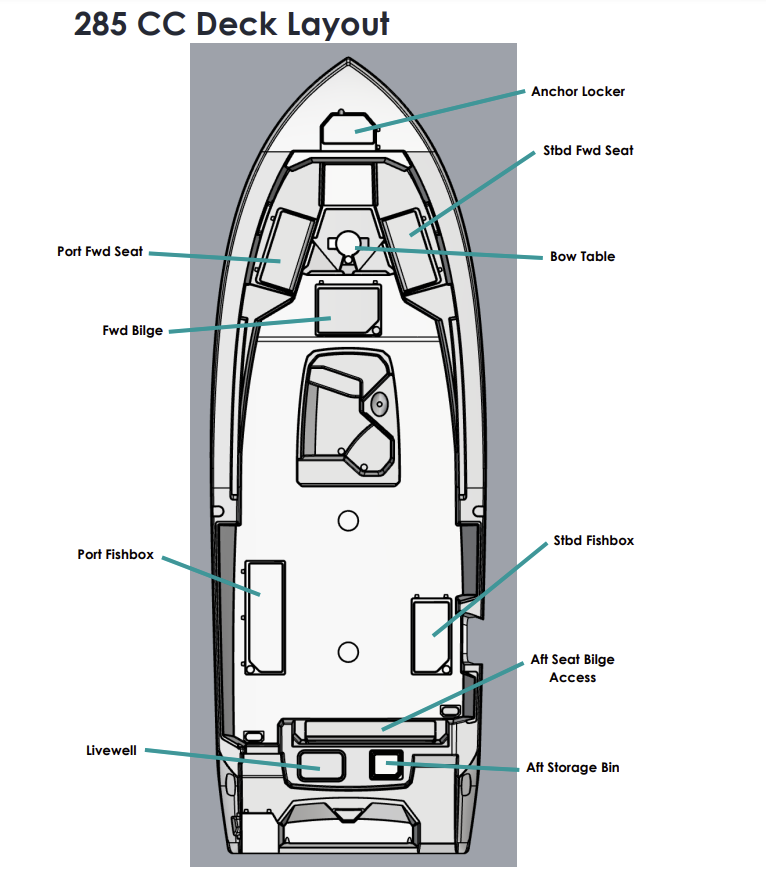Layout 1