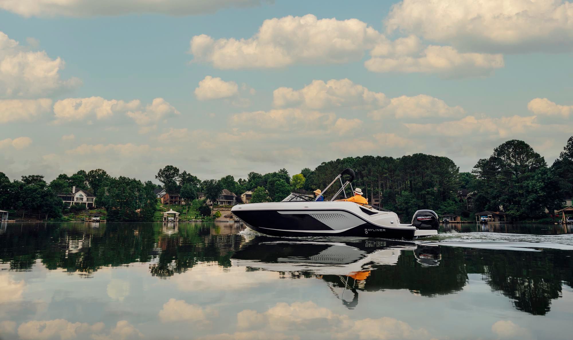Bayliner D22