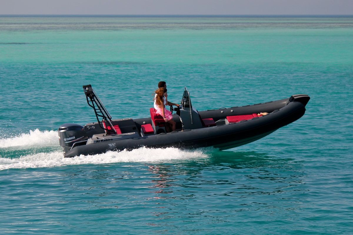 Tiger Marine ProLine 740