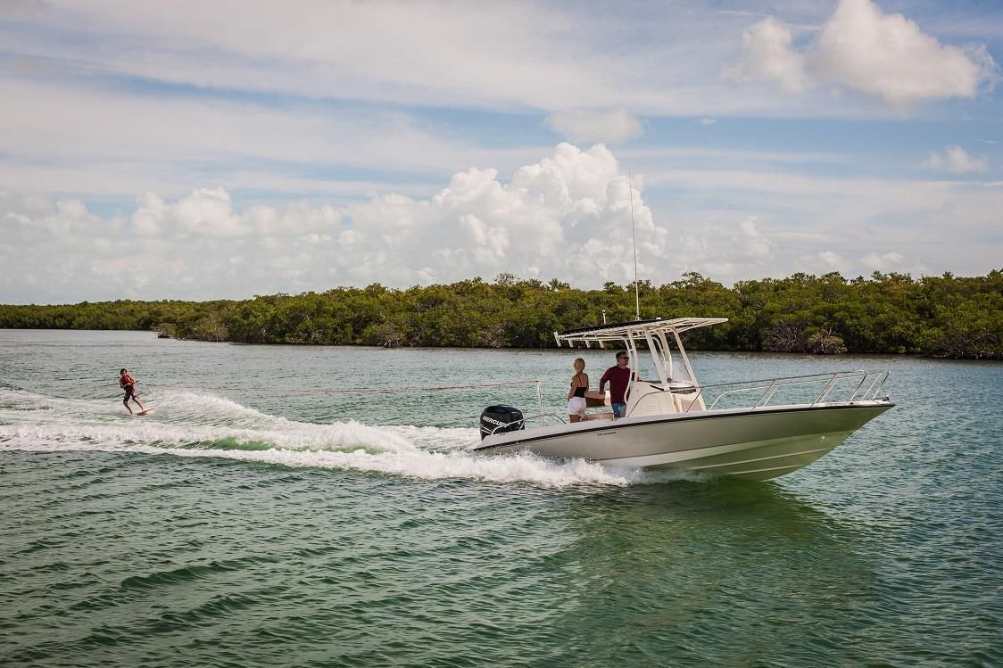 Boston Whaler 240 Dauntless