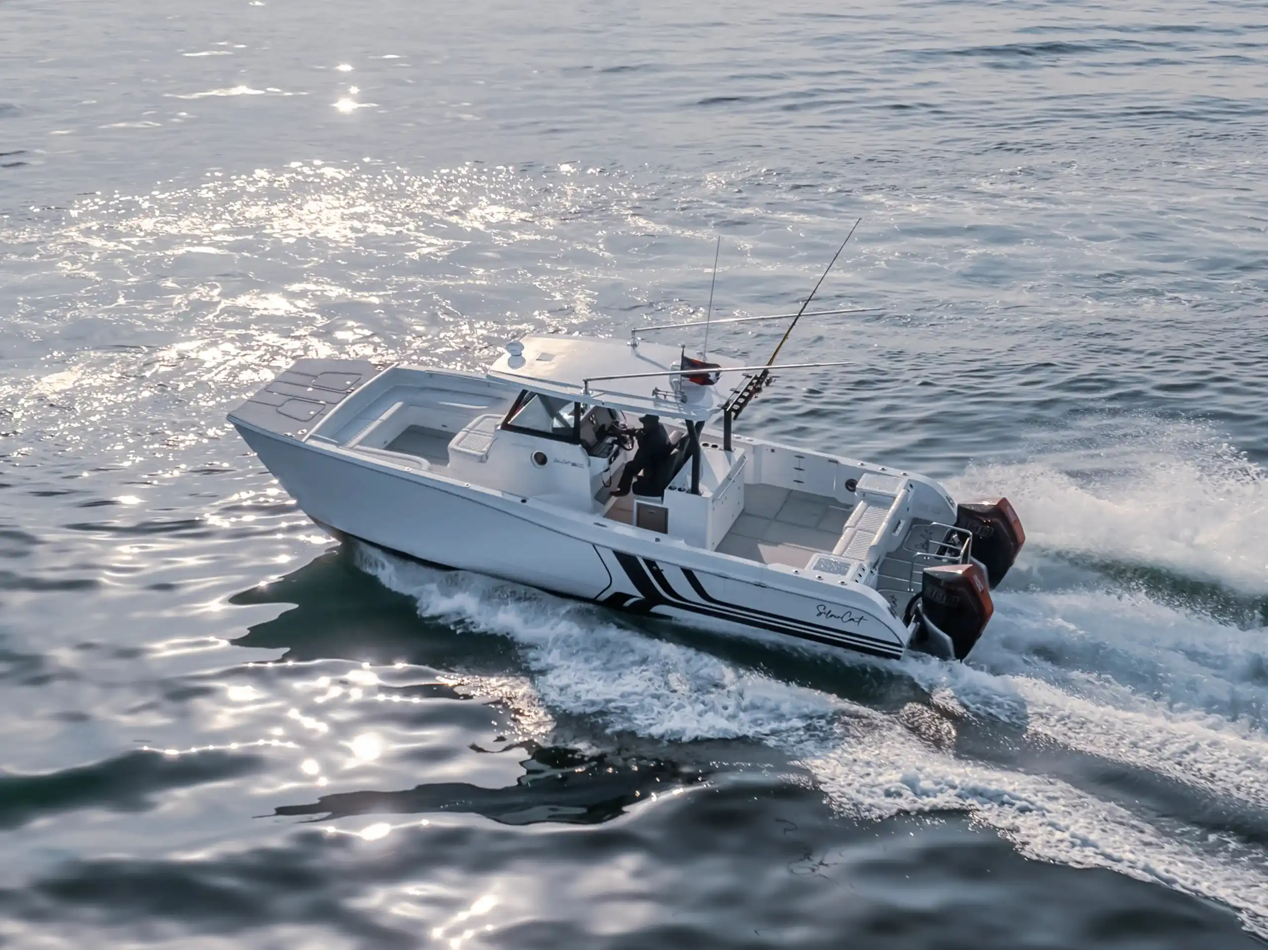 SilverCat 35CC