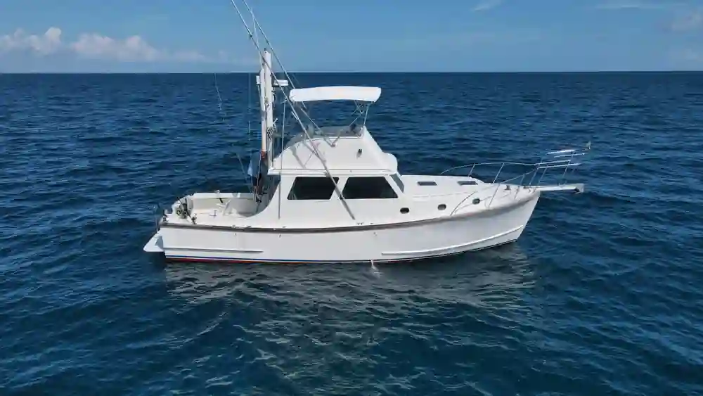 Wilbur 38