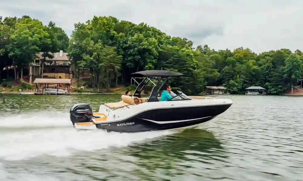 Bayliner D20