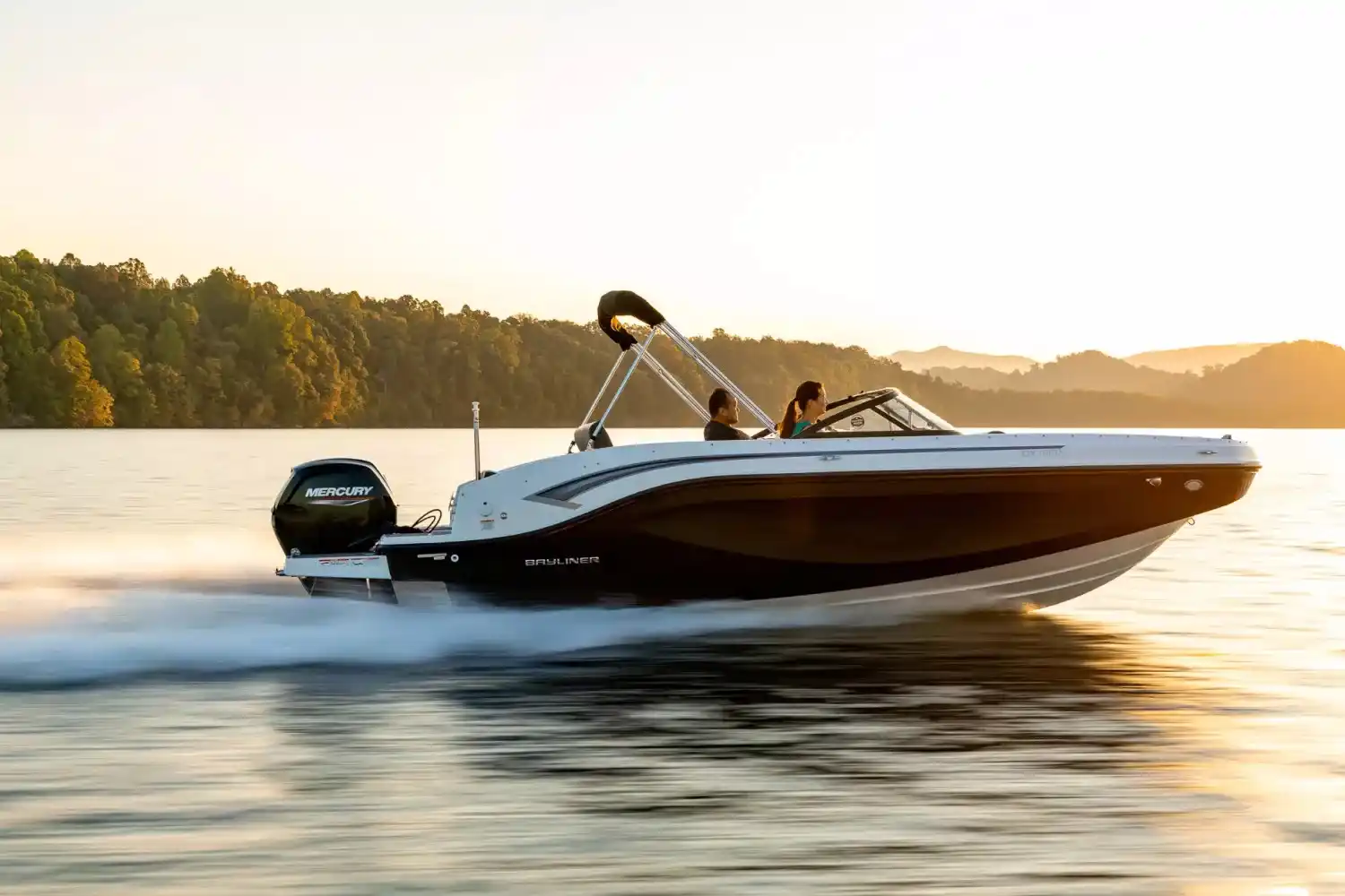 Bayliner DX2000