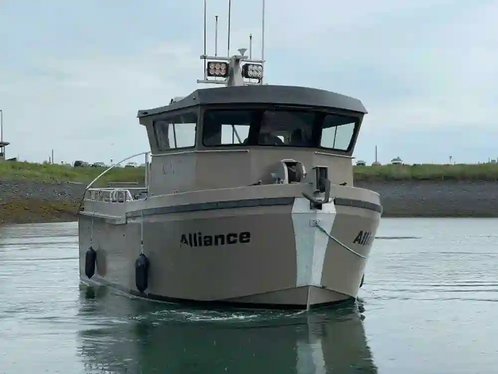 Freestyle Marine 32