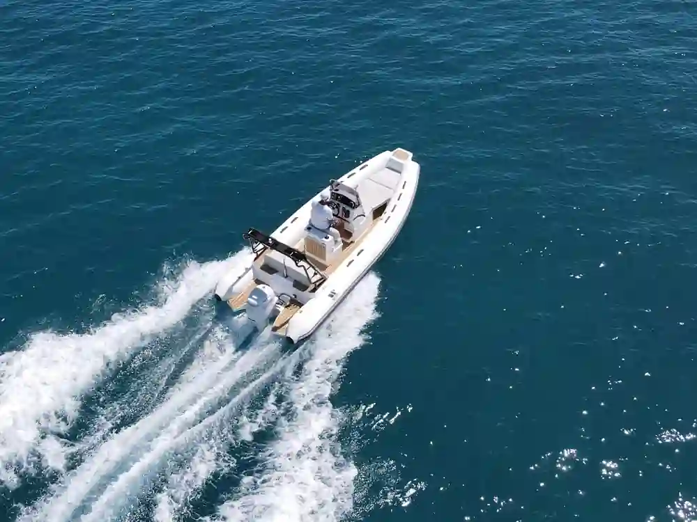Tiger Marine ProLine 550