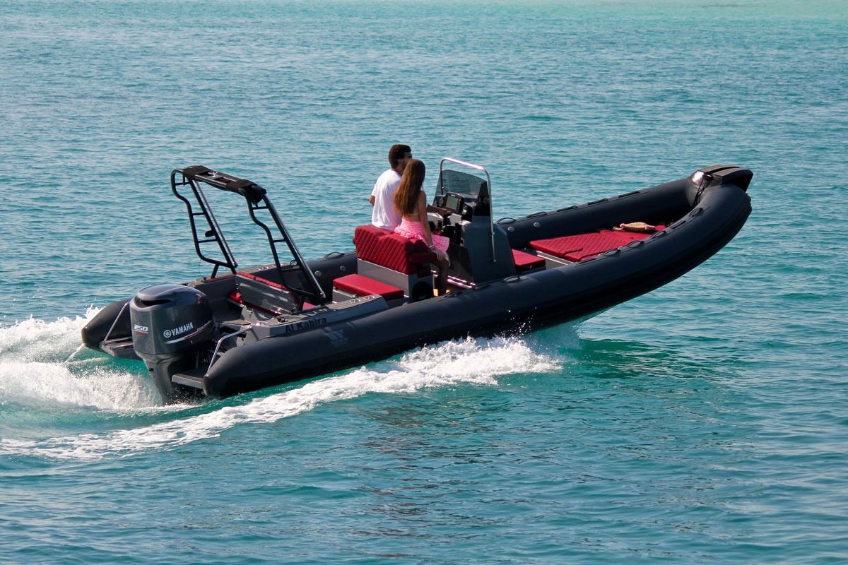 Esterni del Tiger Marine ProLine 740