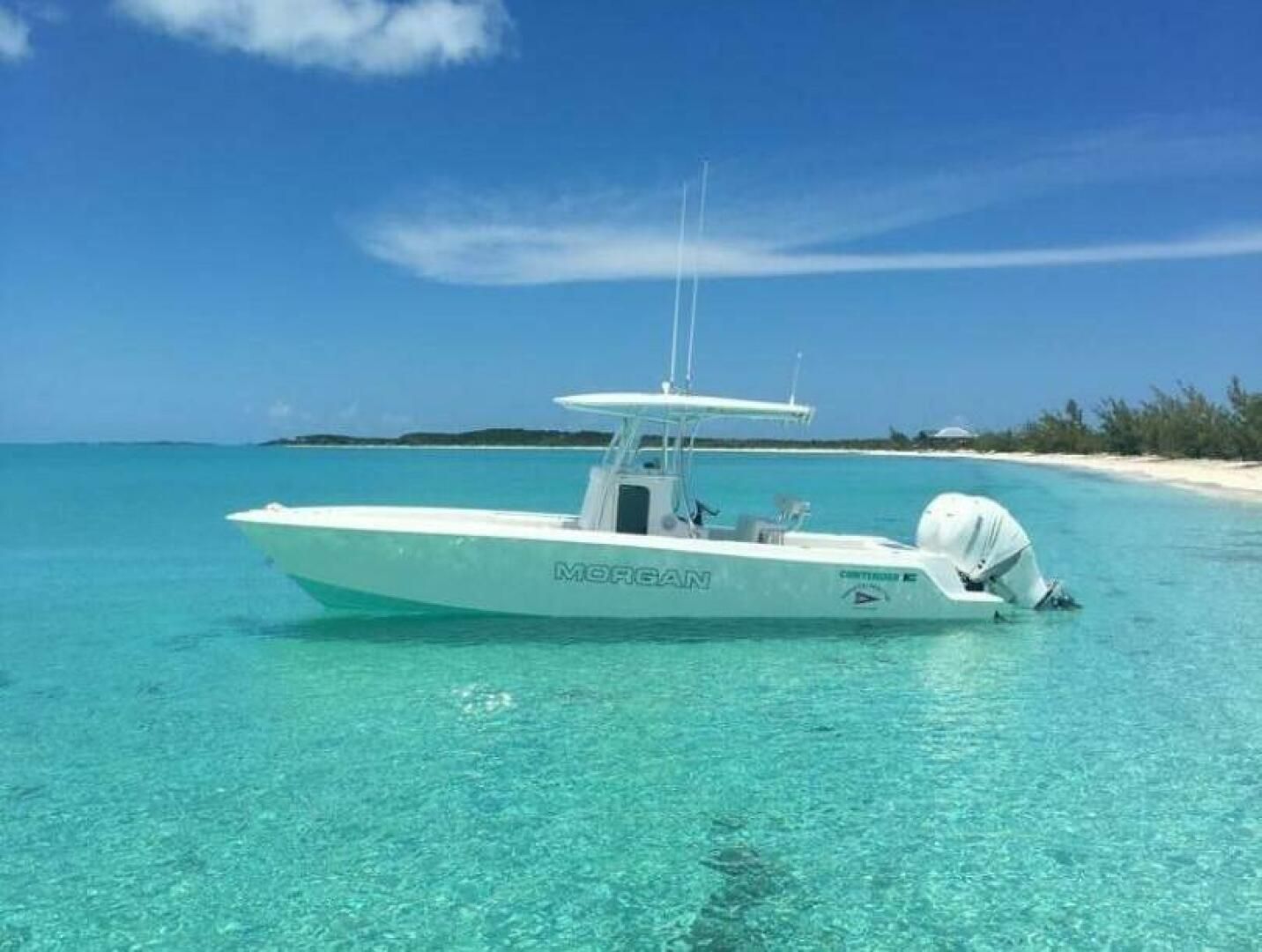 Contender 28 Sport