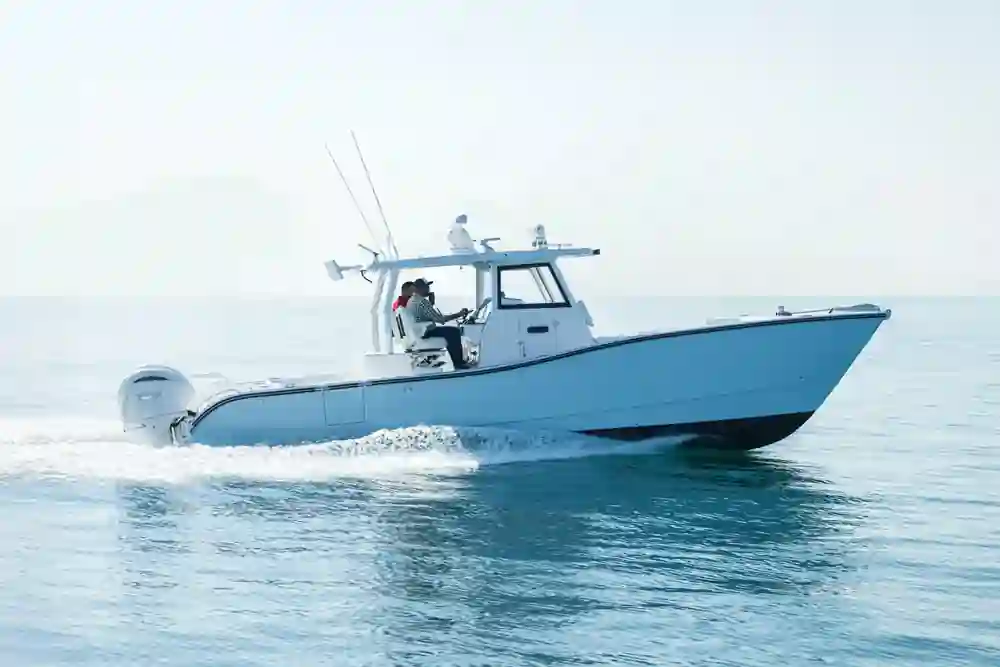 SilverCat 34CC