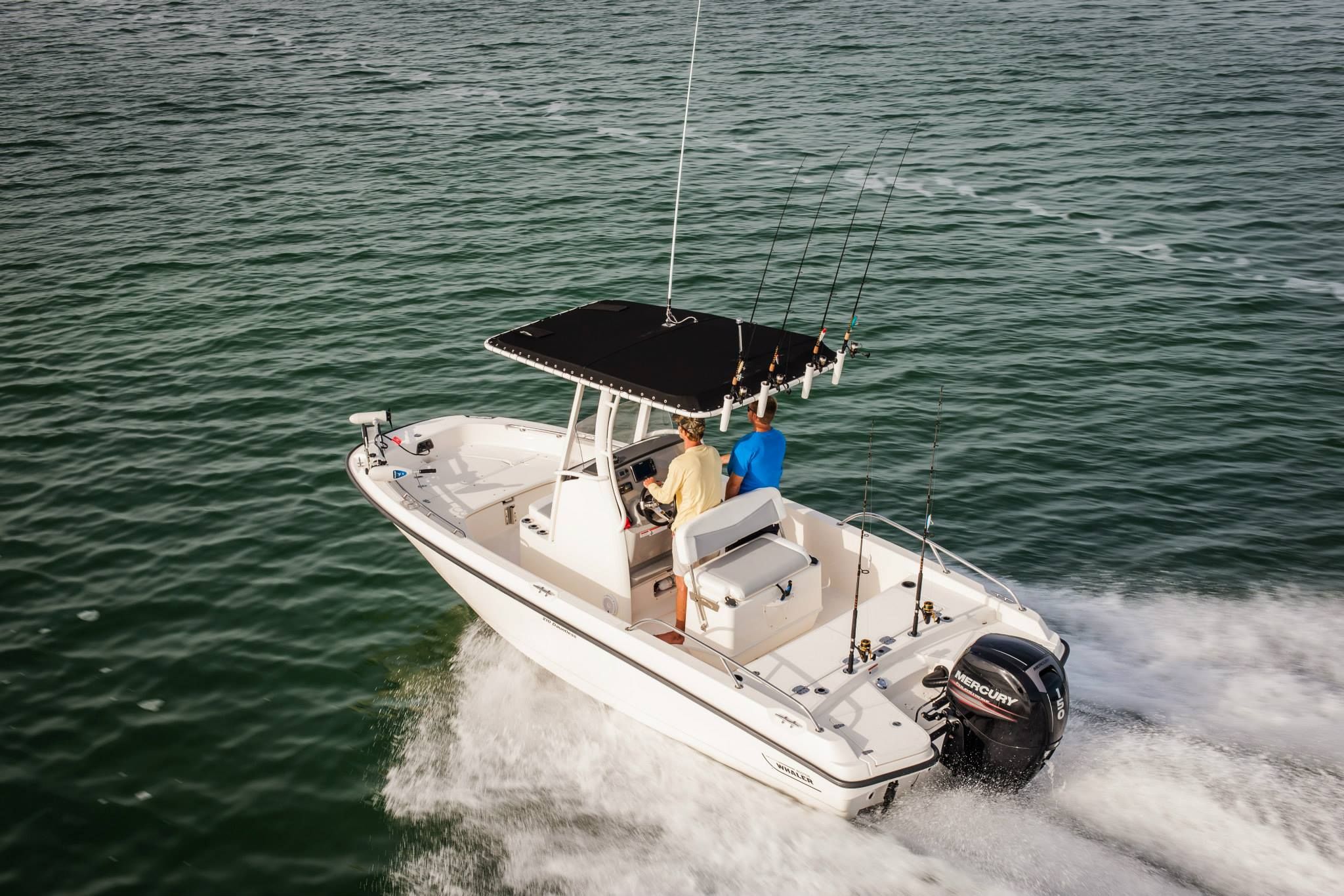 Boston Whaler 210 Dauntless