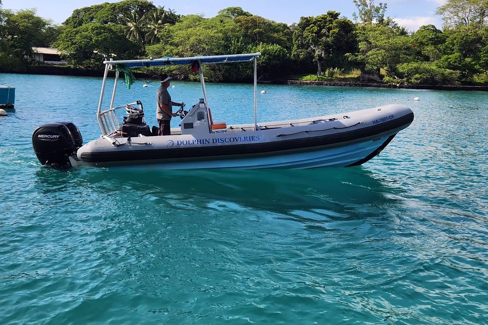 Zodiac 733