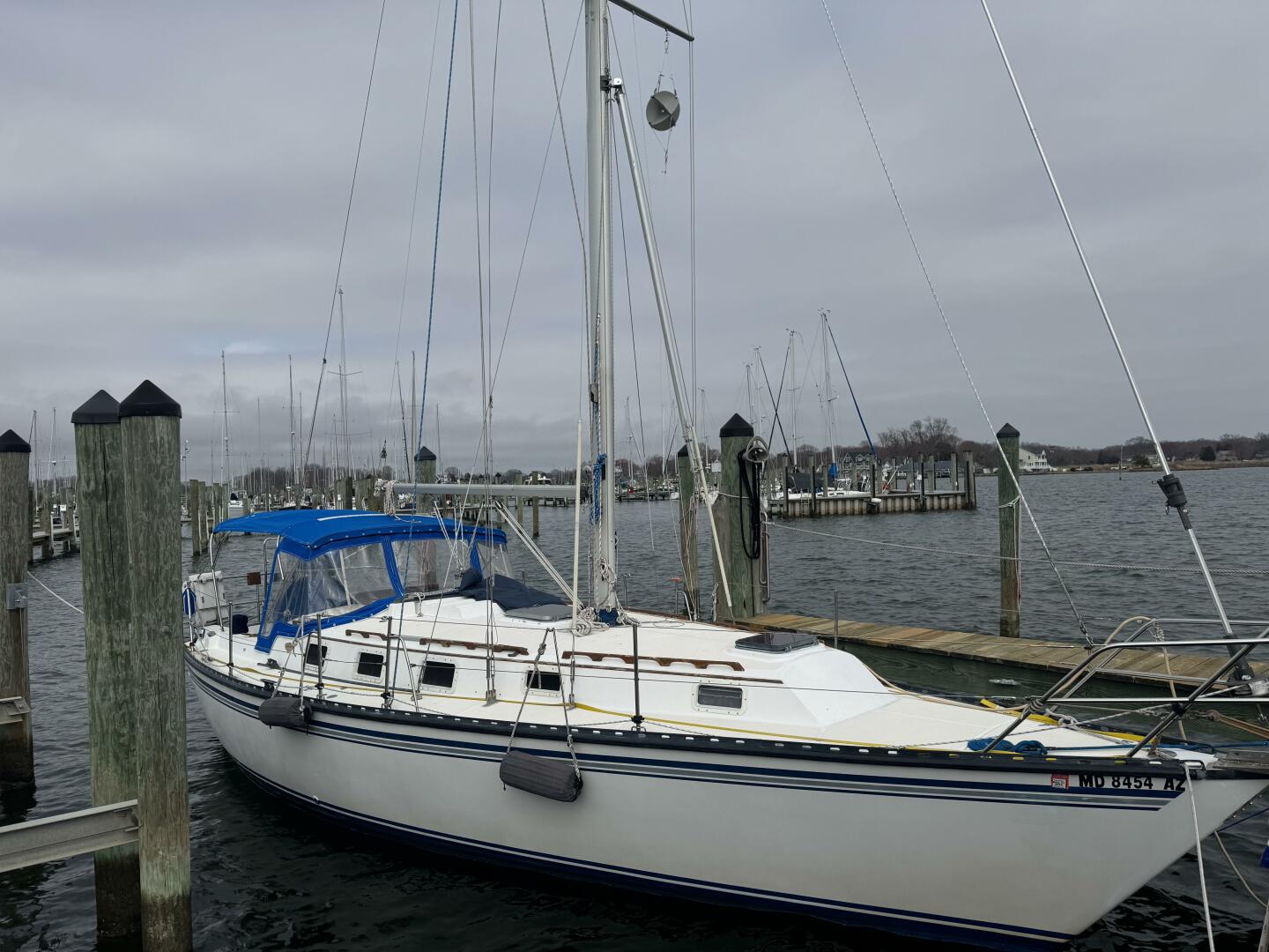 Endeavour 33