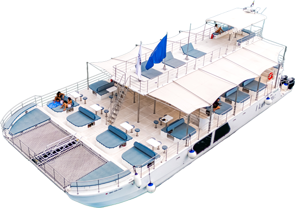 Layout 1