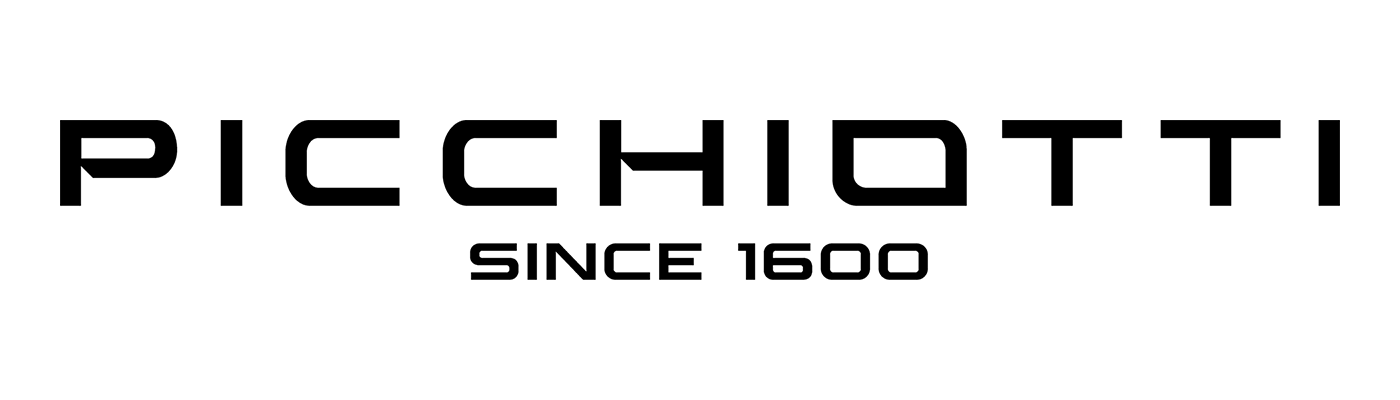 Cantieri Navali Picchioti